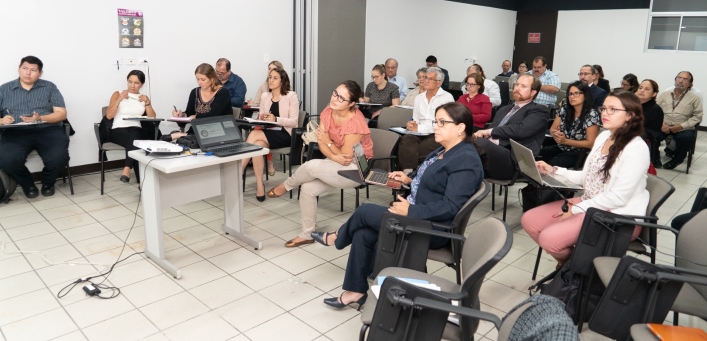 omité Consultivo del Consejo de Alto Nivel de los Objetivos de Desarrollo Sostenible