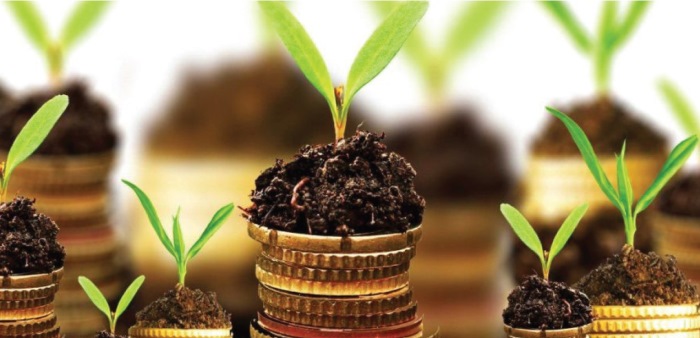 Euroclima+ brindará programa de formación Formulación de proyectos climáticos bancables