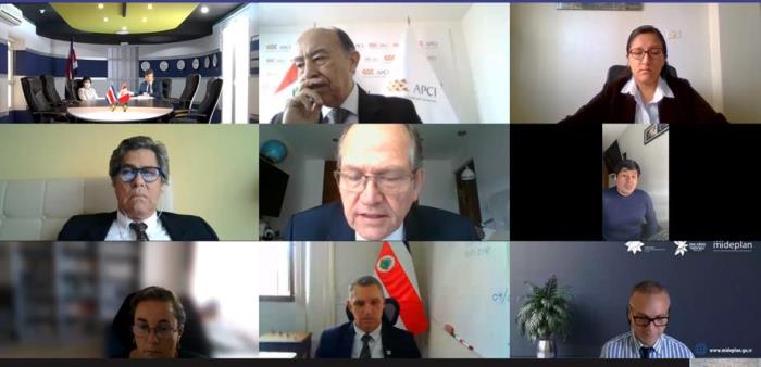 Captura de pantalla de la reunión virtual en la que participaron peruanos y costarricenses