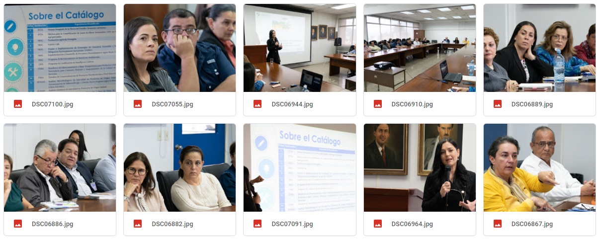 Galería fotográfica