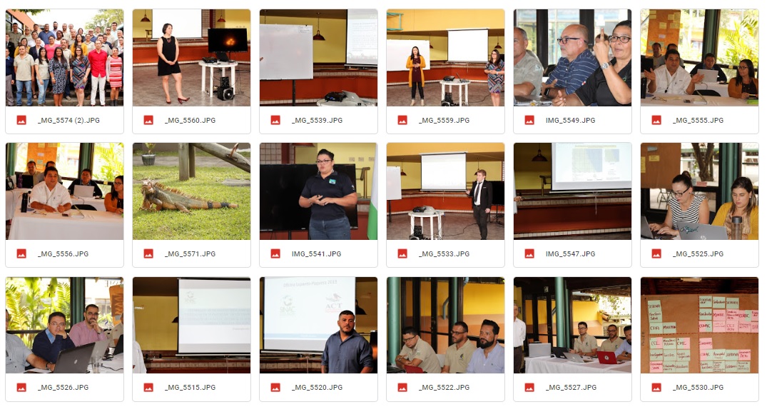 Galería Fotográfica