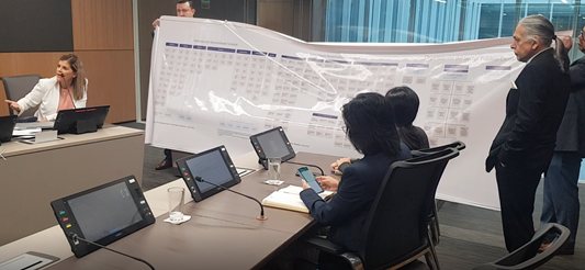 Ministra presentó manta con las instituciones existentes