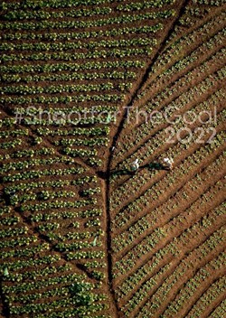 Erradicación del hambre y la pobreza