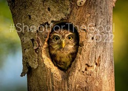 Bienvenidos a mi hogar