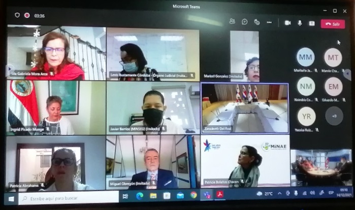 Participación virtual desde Panamá