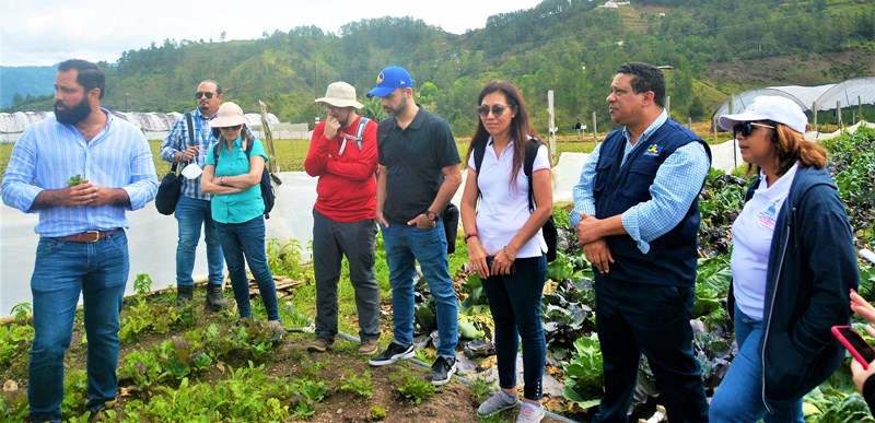 Gira de campo para precensiar una compra de cosechas